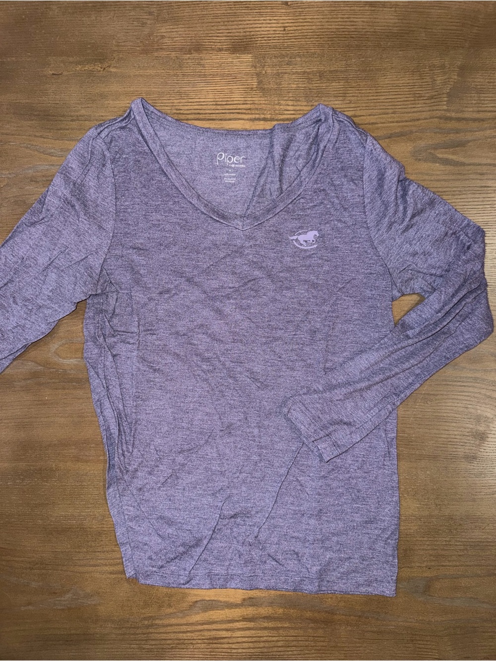 Piper Women's V-Neck Long Sleeve Top in Heather Purple